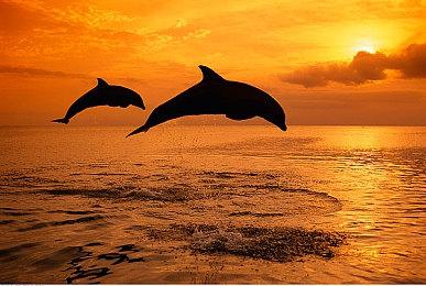 《赛博朋克2077》照片模式挑战活动开启 快来赢取大奖